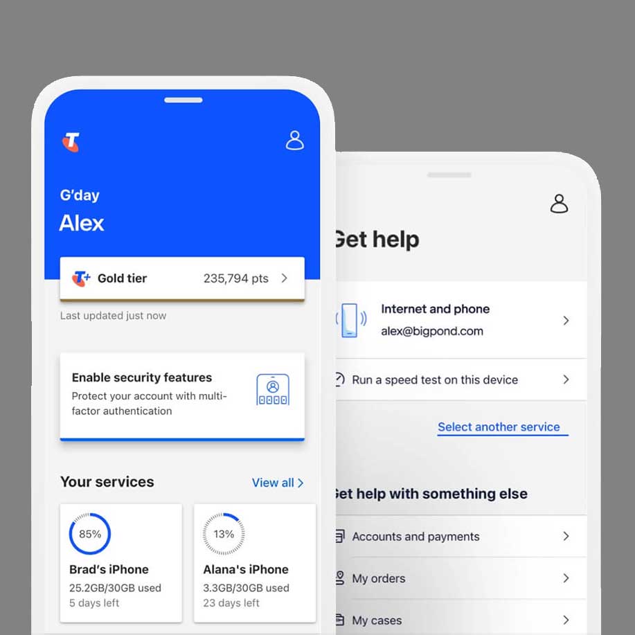 Telstra project detail 2