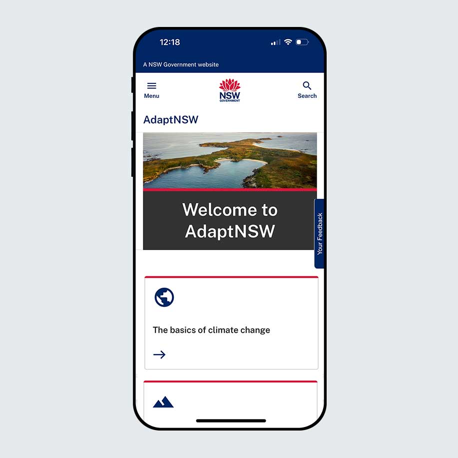AdaptNSW project preview