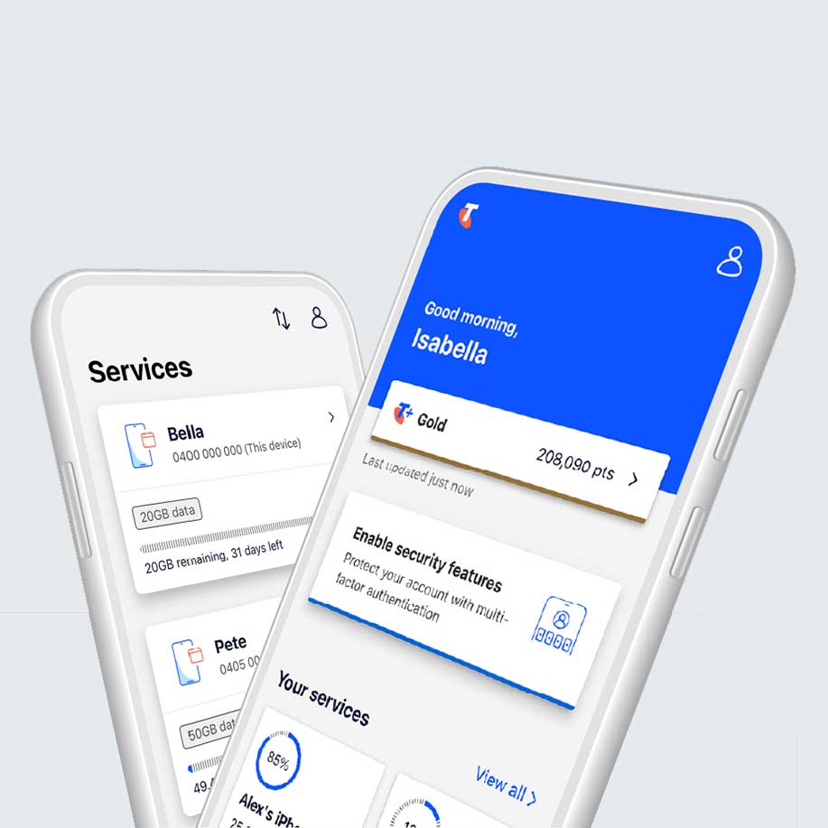 Telstra project preview